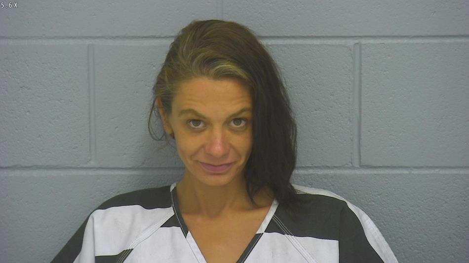 Arrest photo of ANGELA HASLER