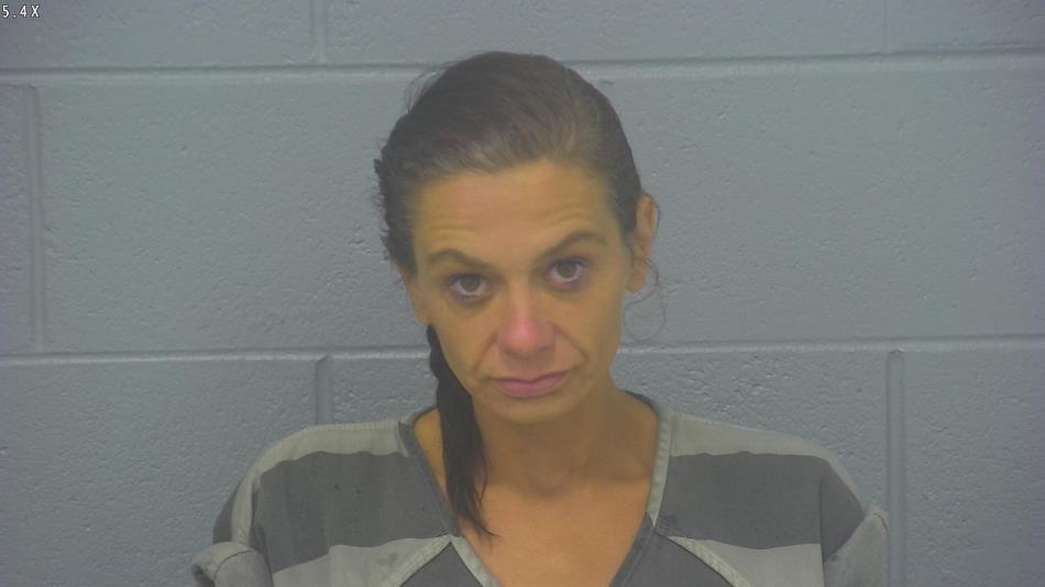 Arrest photo of ANGELA HASLER