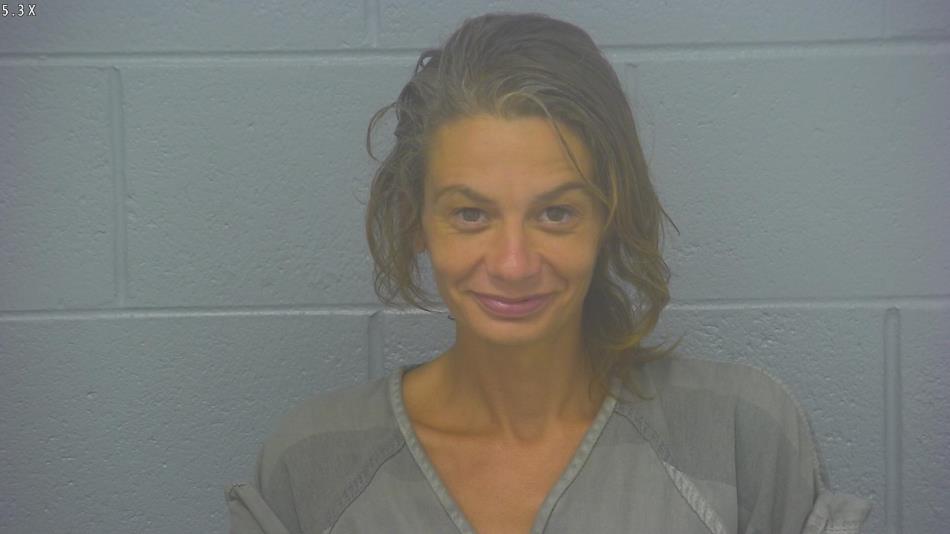 Arrest photo of ANGELA HASLER