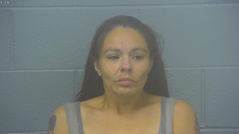 Arrest Photo of ANGELA FRANKLIN, arrested on 10/11/2025