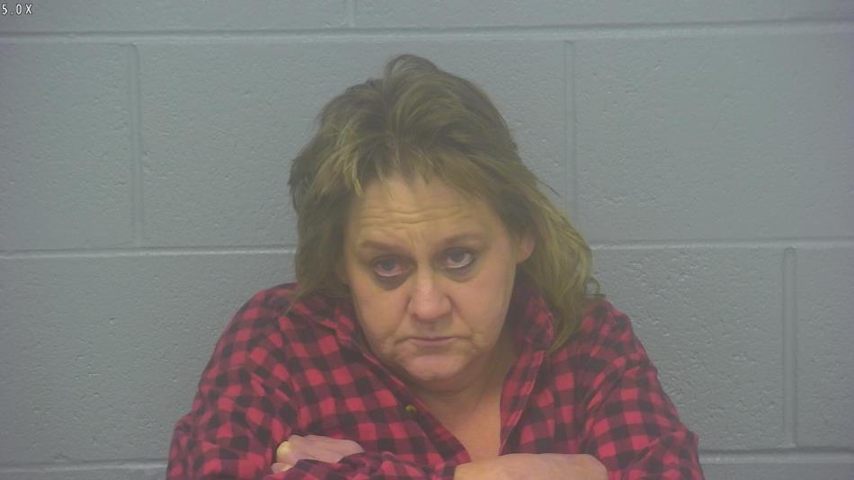 Arrest photo of ANGELA HANKINS