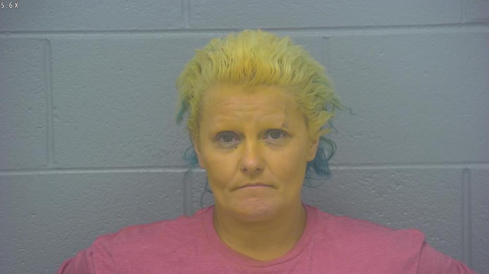 Arrest photo of ANGELA FURTADO