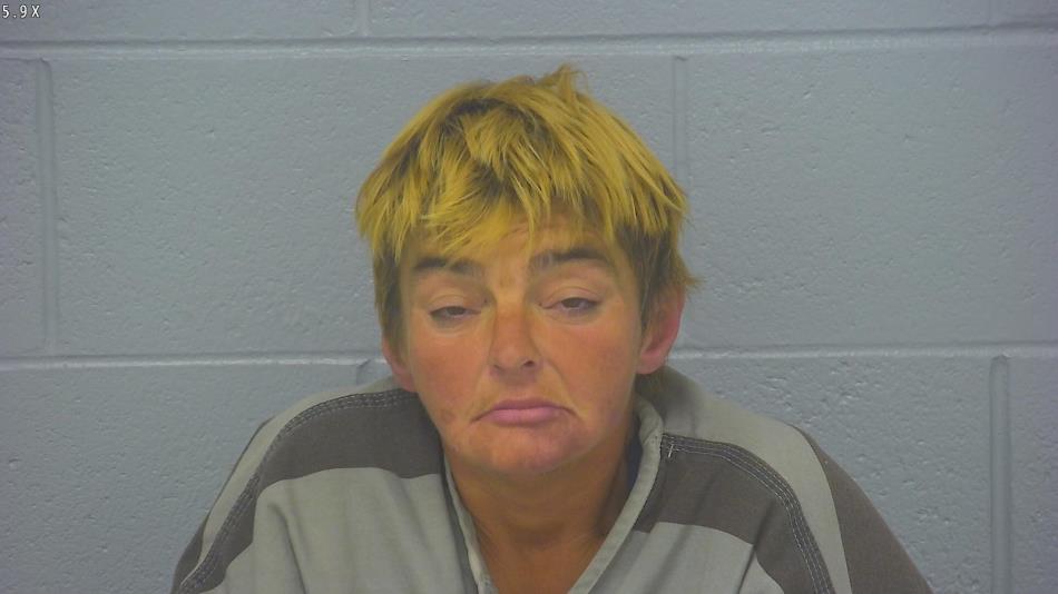 Arrest photo of ANGELA WELLS