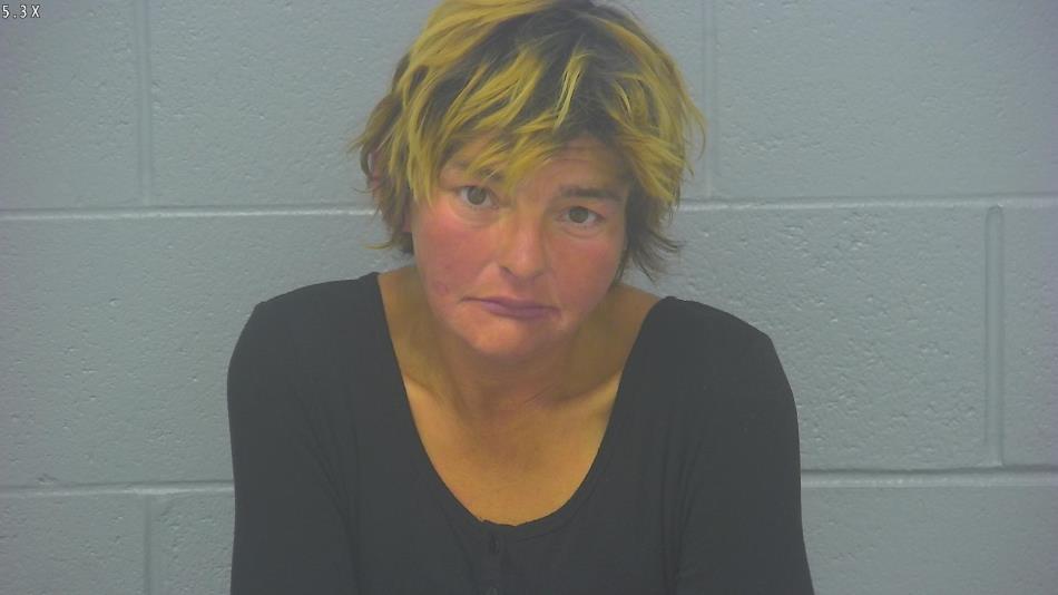 Arrest photo of ANGELA WELLS