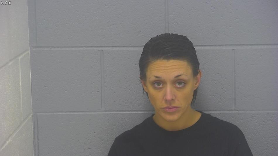 Arrest photo of ANGELA ROBINSON