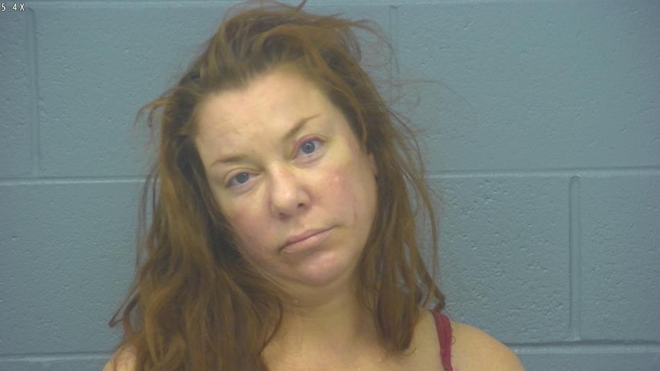 Arrest photo of ANGELA CRAIG