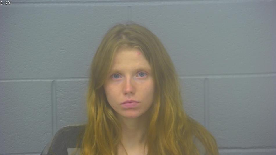 Arrest Photo of ANGYL FANNIN, arrested on 5/20/2024