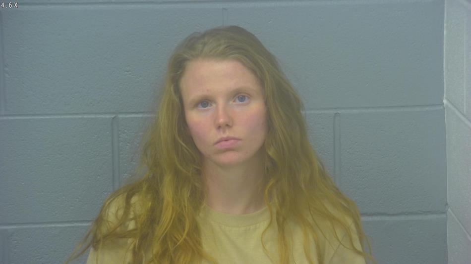 Arrest photo of ANGYL FANNIN