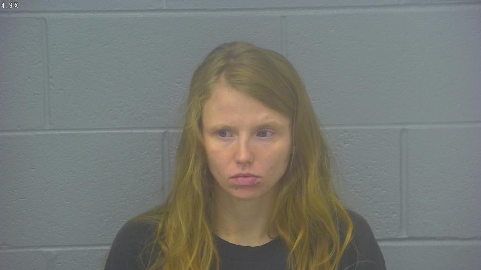 Arrest photo of ANGYL FANNIN