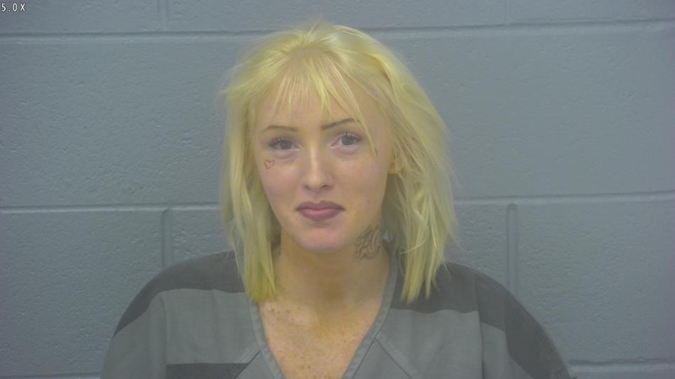 Arrest photo of ANISTY TURNER