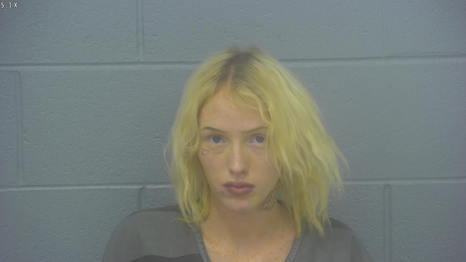 Arrest photo of ANISTY TURNER