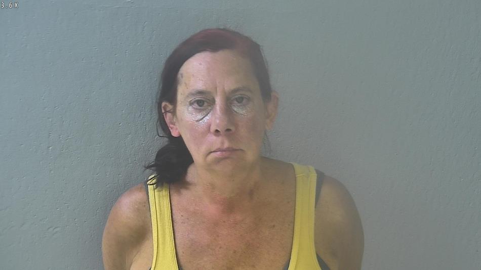 Arrest photo of ANN FEHRENBACH