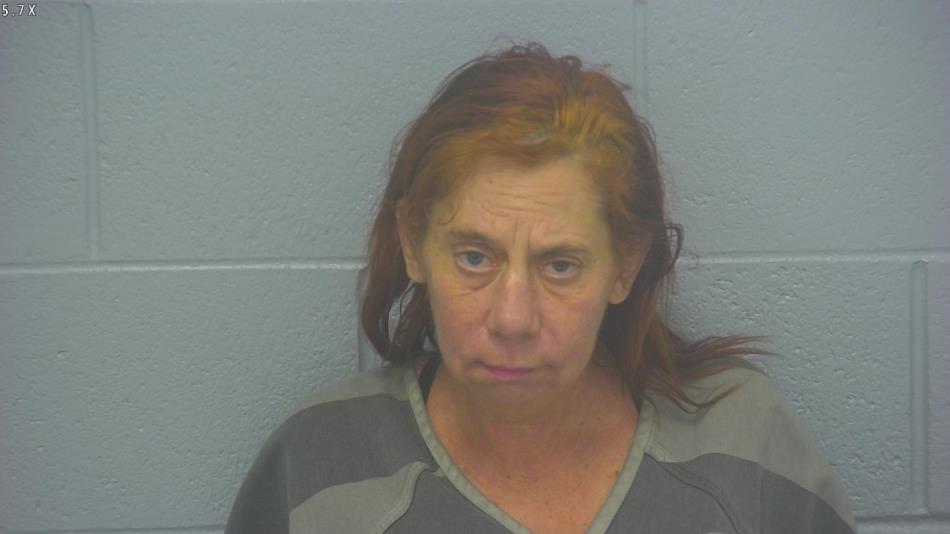 Arrest photo of ANN FEHRENBACH