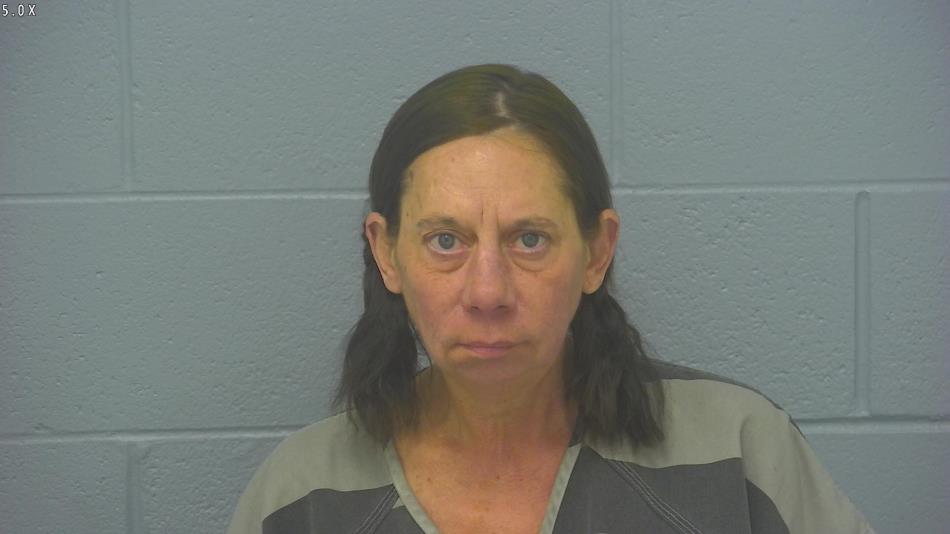 Arrest photo of ANN VAUGHT