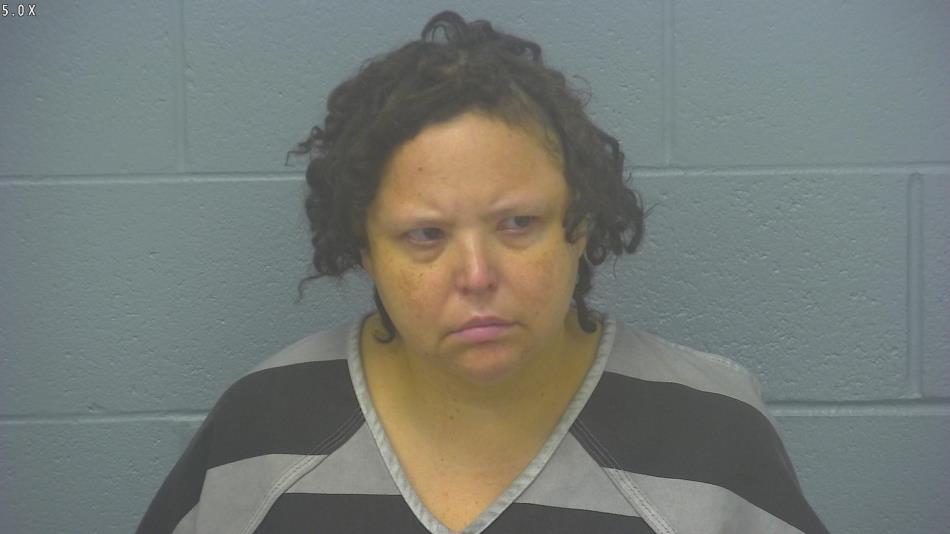 Arrest Photo of ANN TAYLOR, arrested on 2/17/2024