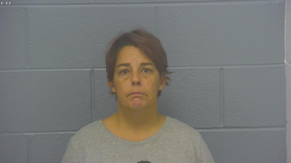 Arrest photo of ANN COOK