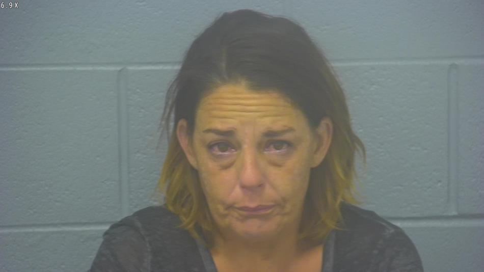 Arrest photo of ANN COOK