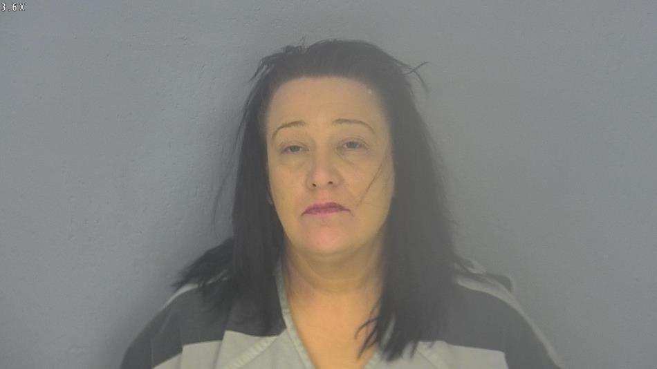 Arrest photo of ANN WELLINGTON