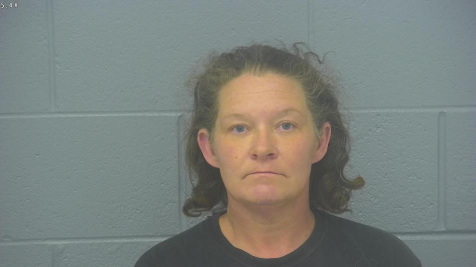 Arrest photo of ANNA EUBANKS