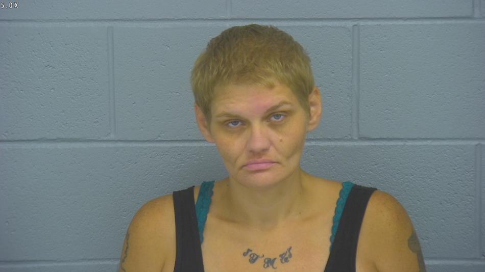 Arrest photo of ANNASTASIA RIDEEOUTTE