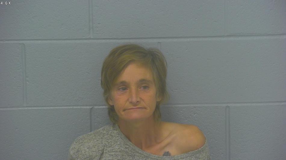 Arrest photo of ANNE UNDERWOOD