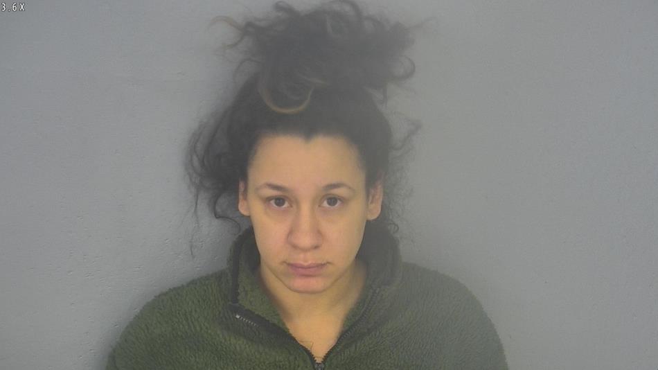 Arrest photo of ANNIE LEEPER