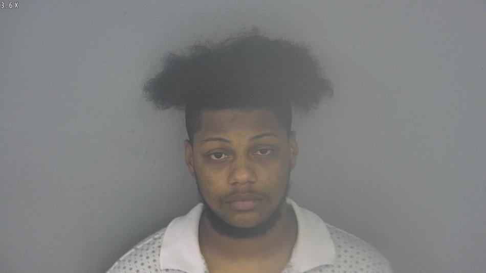 Arrest photo of ANTHONY GARDNER