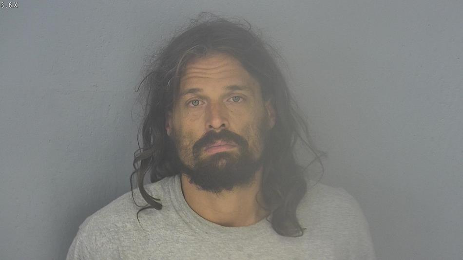 Arrest photo of ANTHONY  ANDERSON