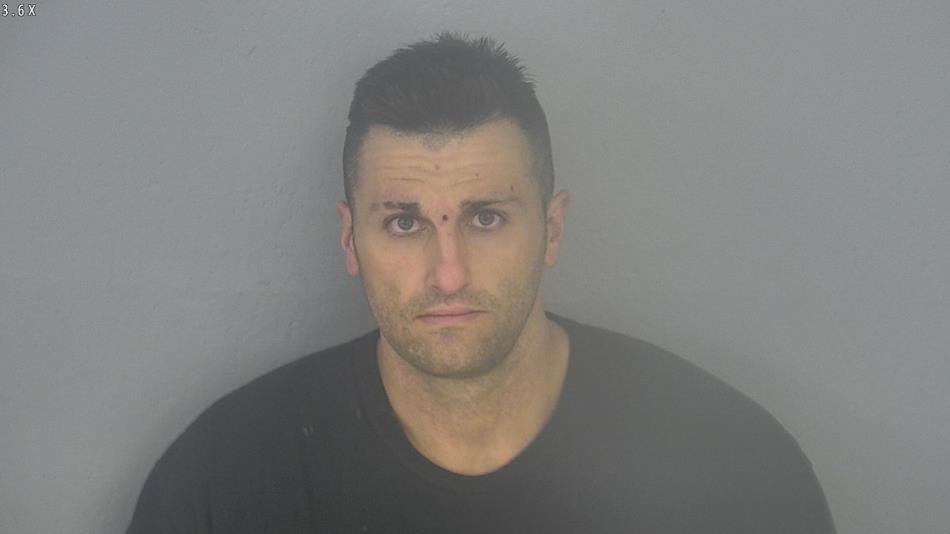 Arrest photo of ANTHONY CASSANELLI