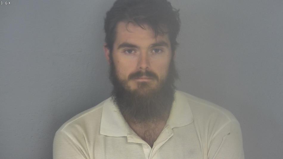 Arrest photo of ANTHONY BLEVINS