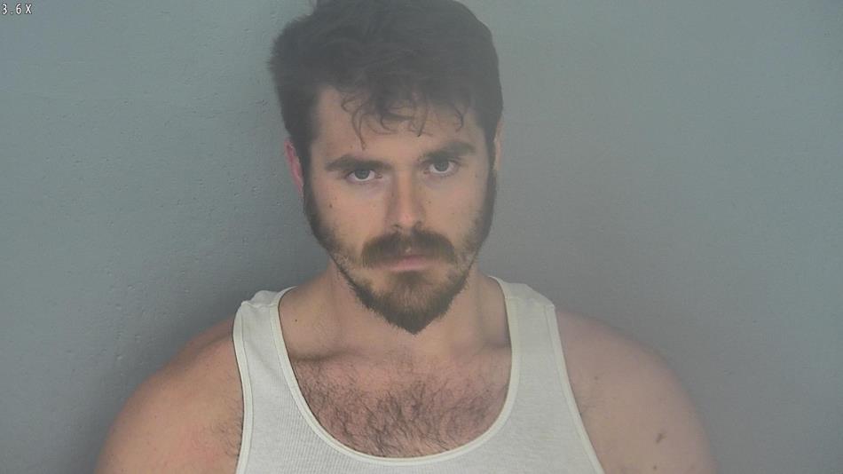 Arrest photo of ANTHONY BLEVINS