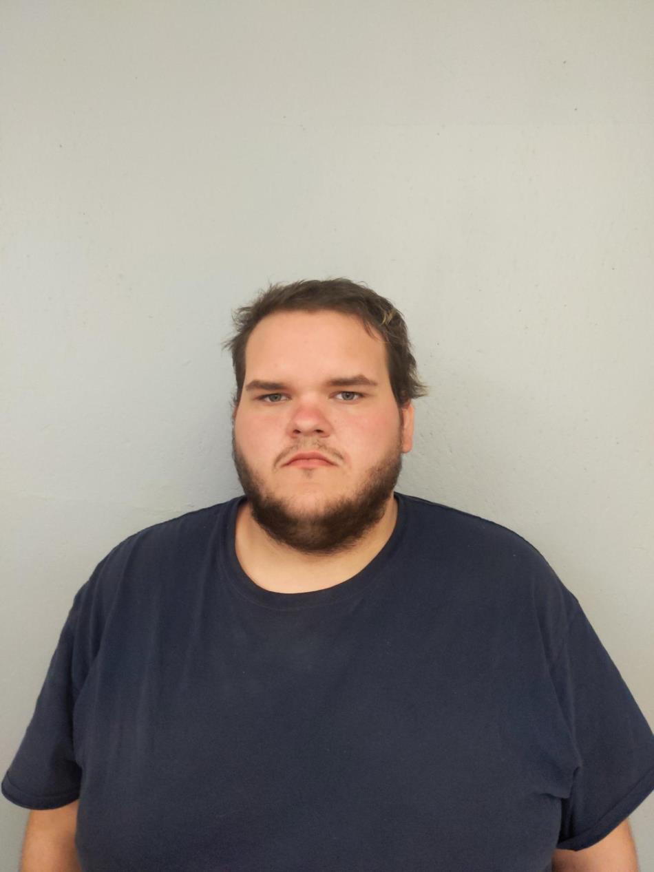 Arrest photo of ANTHONY HAMRICK