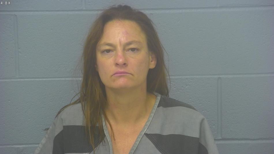 Arrest photo of APRIL ST CLAIR