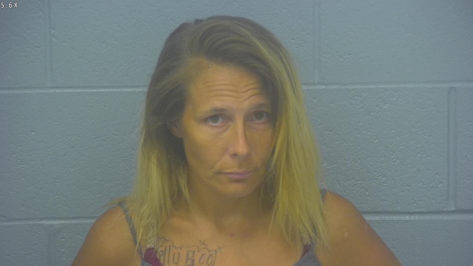 Arrest photo of APRIL BRADY