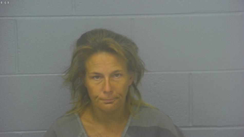 Arrest photo of APRIL BRADY