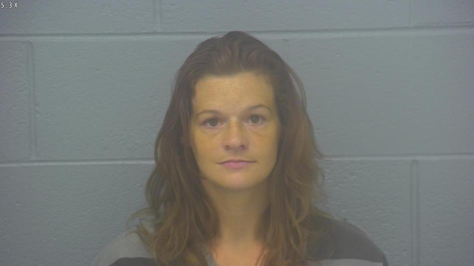 Arrest photo of APRIL FONTENEAU