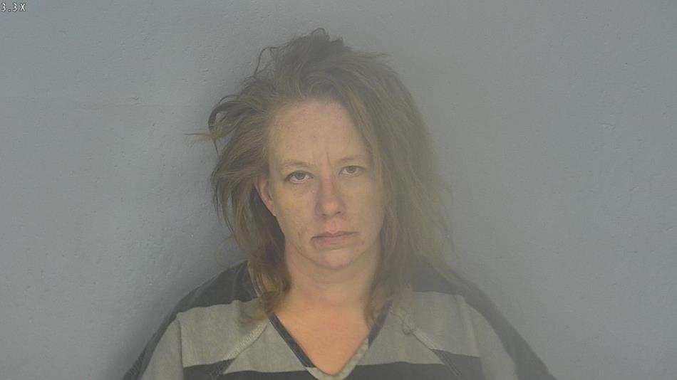 Arrest photo of APRIL HAINES