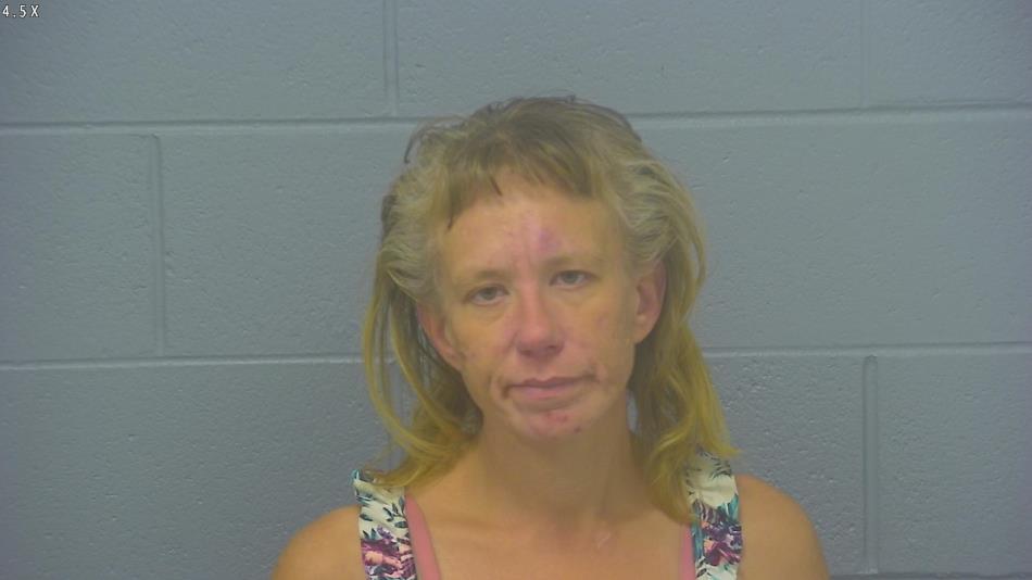 Arrest photo of APRIL HAINES