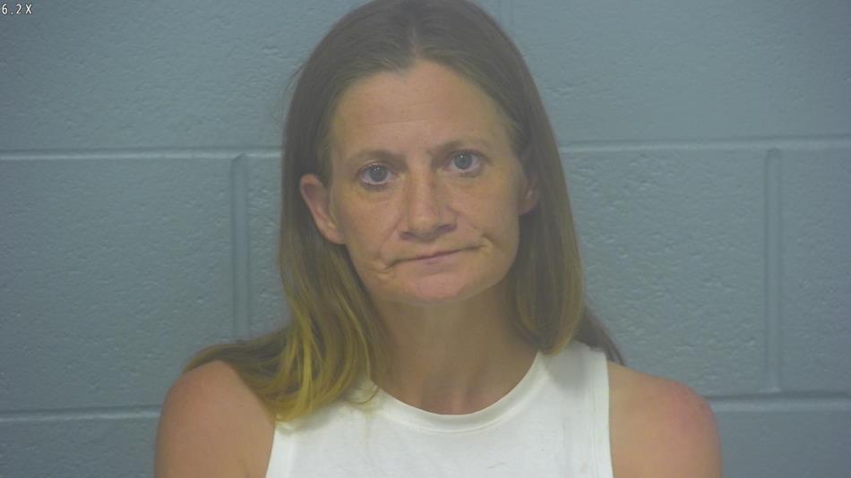 Arrest Photo of APRIL HUDSON, arrested on 8/10/2024