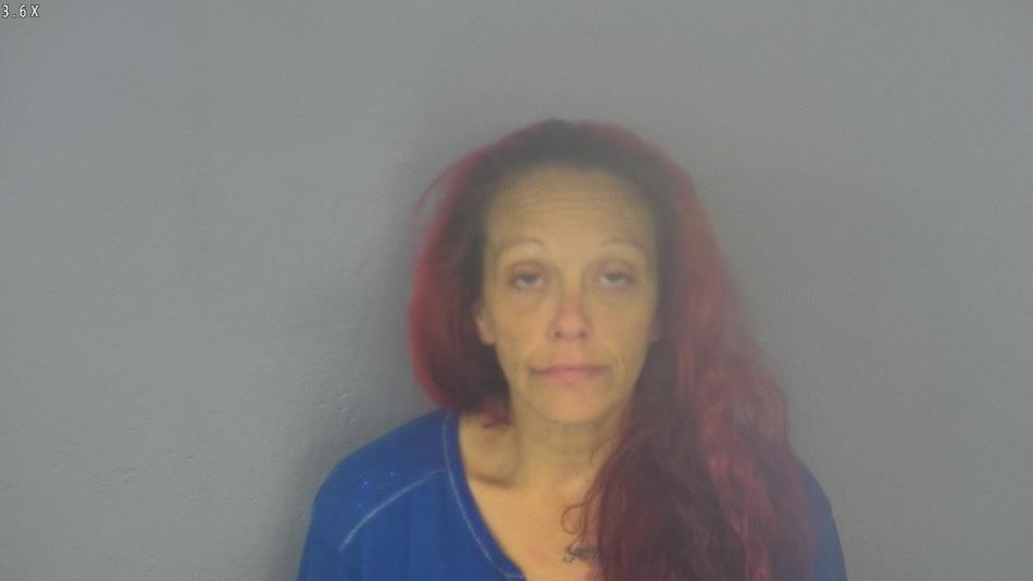Arrest photo of APRIL RINGO