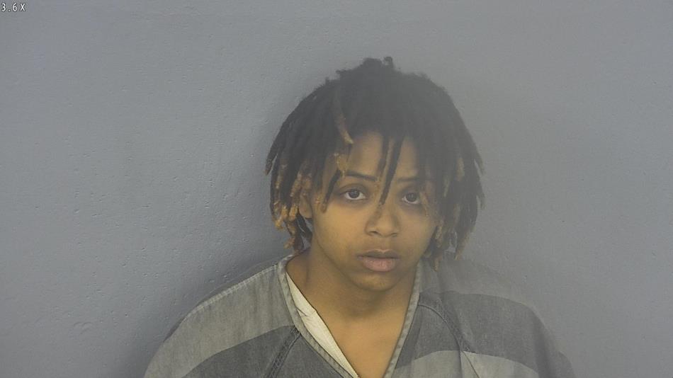 Arrest photo of ARIANNA HEWLETT