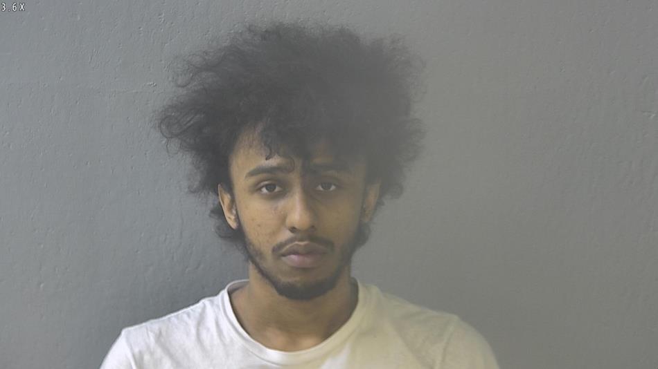 Arrest photo of ARICE BROWN