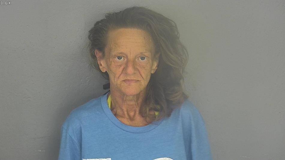 Arrest photo of ARLINE BARMAN