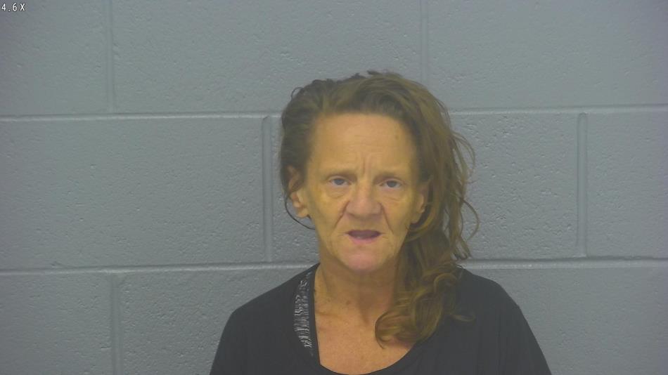 Arrest photo of ARLINE BARMAN