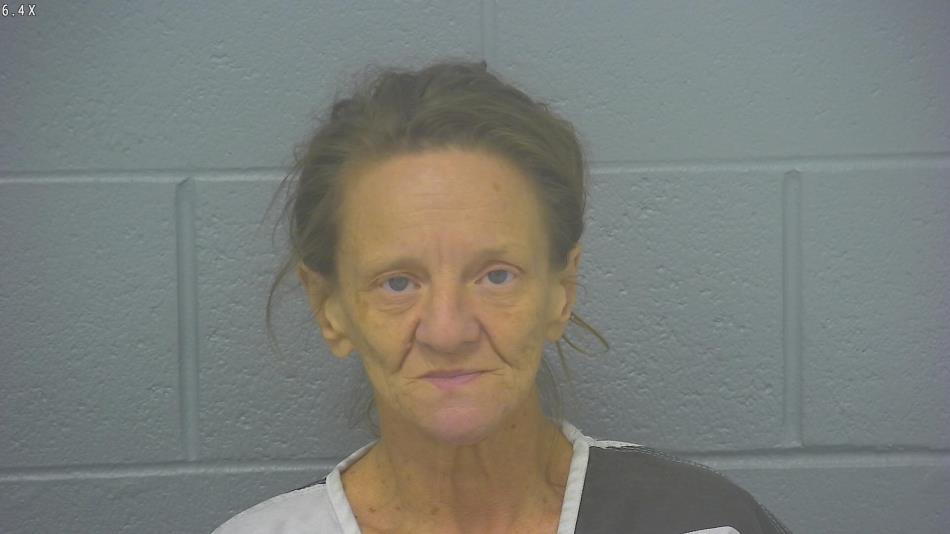 Arrest photo of ARLINE BARMAN