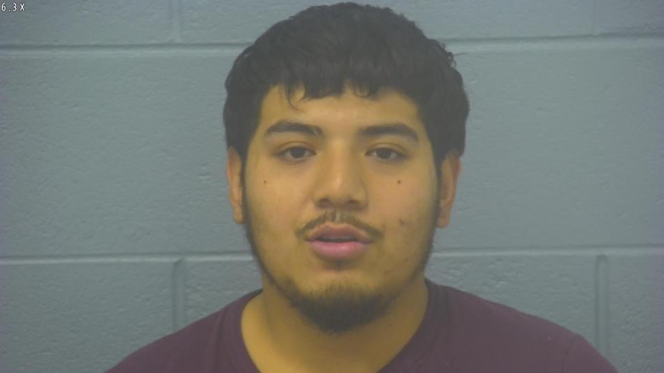 Arrest photo of ARMANDO GONZALEZ