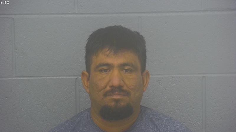 Arrest Photo of ARNULFO MIRELES ORTEGA, arrested on 9/3/2025