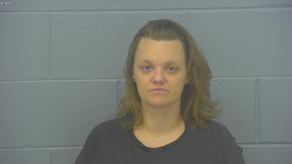 Arrest photo of ASHLEE SJAARDA