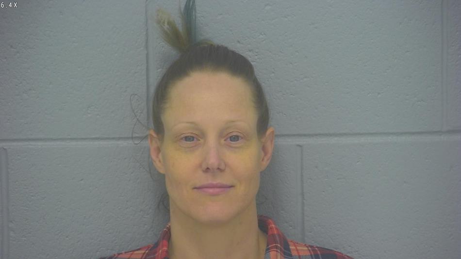 Arrest photo of ASHLEY BUKATY