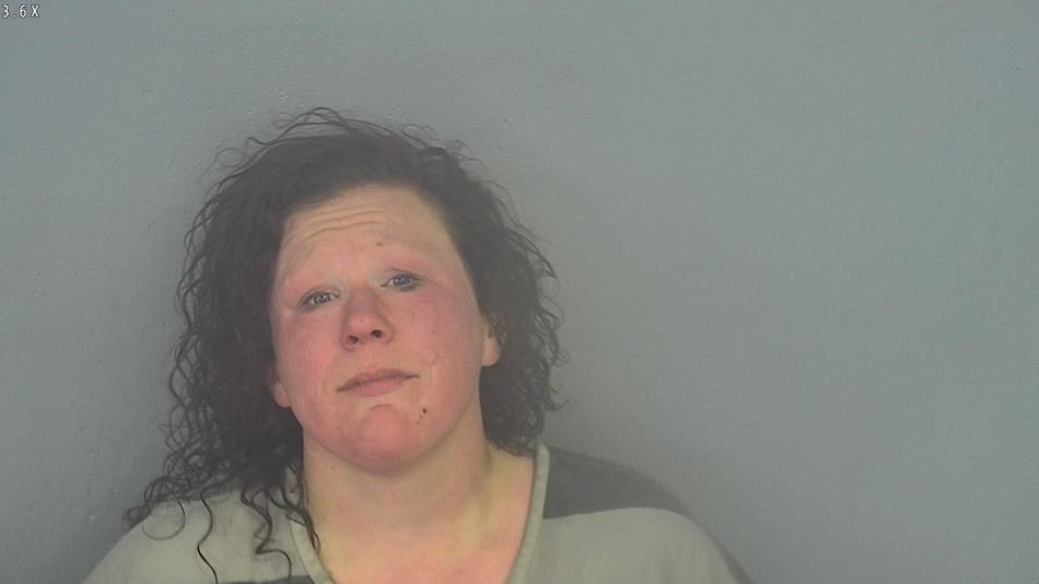 Arrest photo of ASHLEY DOOLEY